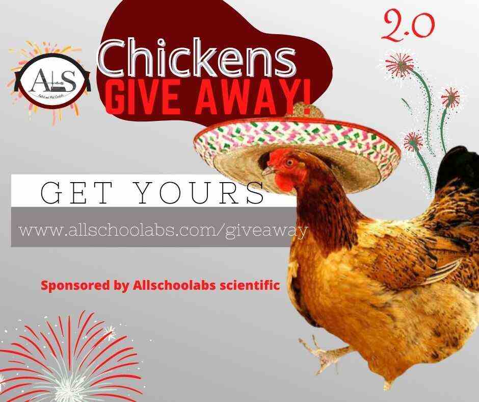 Allschoolabs giveaway